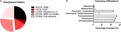 Comprehensive Molecular Characterization of Escherichia coli Isolates from Urine Samples of Hospitalized Patients in Rio de Janeiro, Brazil